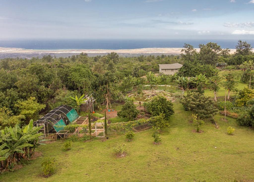 Banyan Tree Sanctuary Guest House Kalaoa Εξωτερικό φωτογραφία